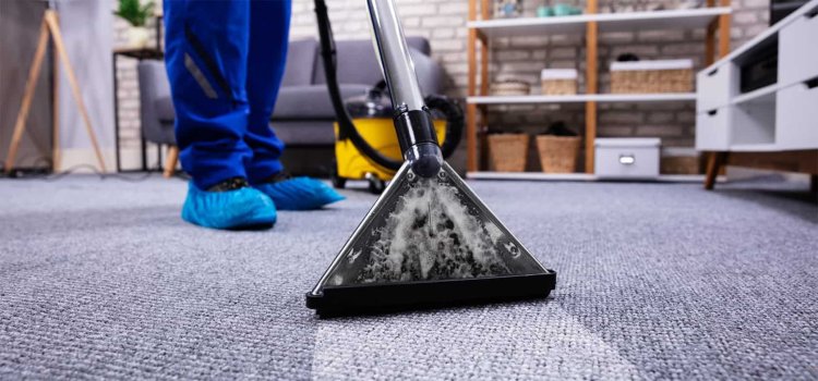 Why I Chose The Best Carpet Cleaning Company In Maine