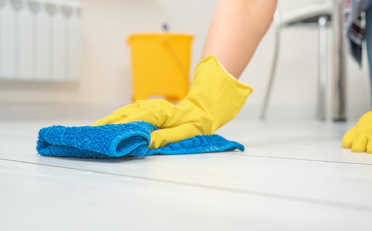 Comprehensive Cleaning Services in Seattle: Find the Perfect Fit for Your Home